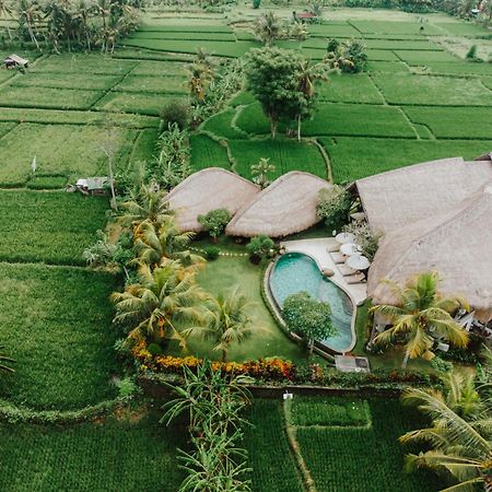 Villa Omah Padi Ubud Buitenkant foto