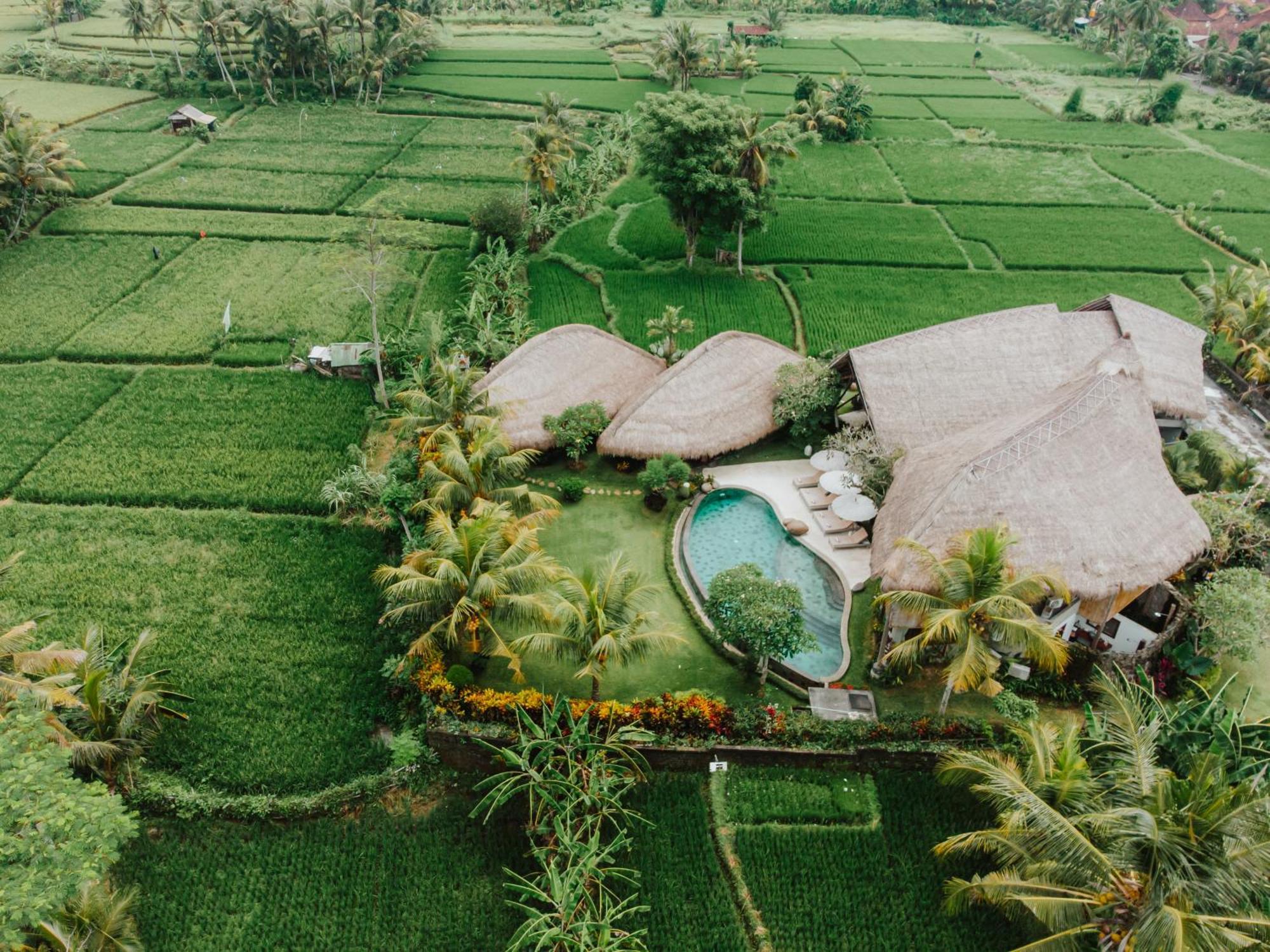 Villa Omah Padi Ubud Buitenkant foto
