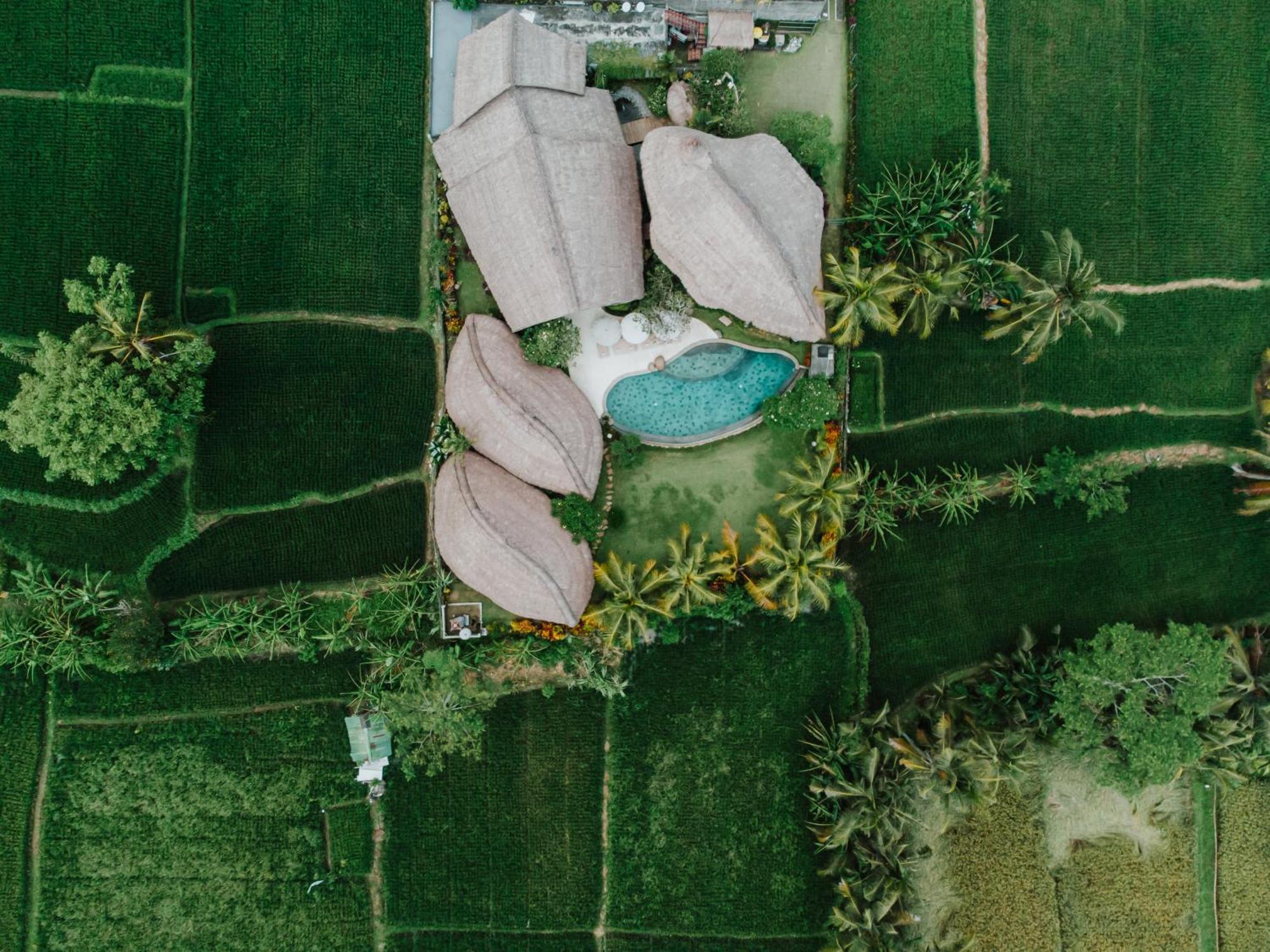Villa Omah Padi Ubud Buitenkant foto